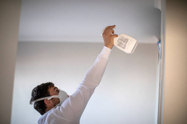 Best Mold Cleaning Services  in Roodhouse, IL