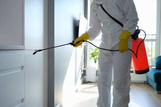 Best Mold Remediation Experts  in Roodhouse, IL