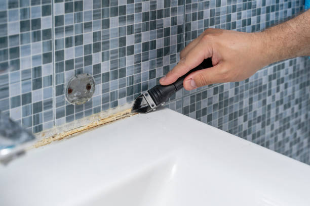 Best Mold Removal Near Me  in Roodhouse, IL